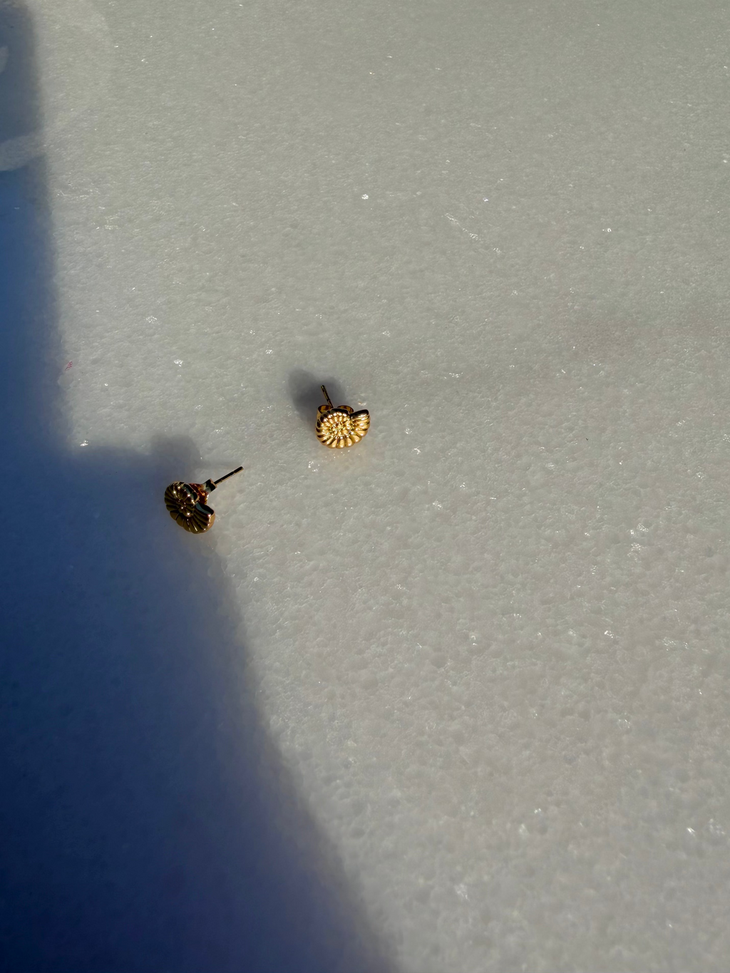 snail