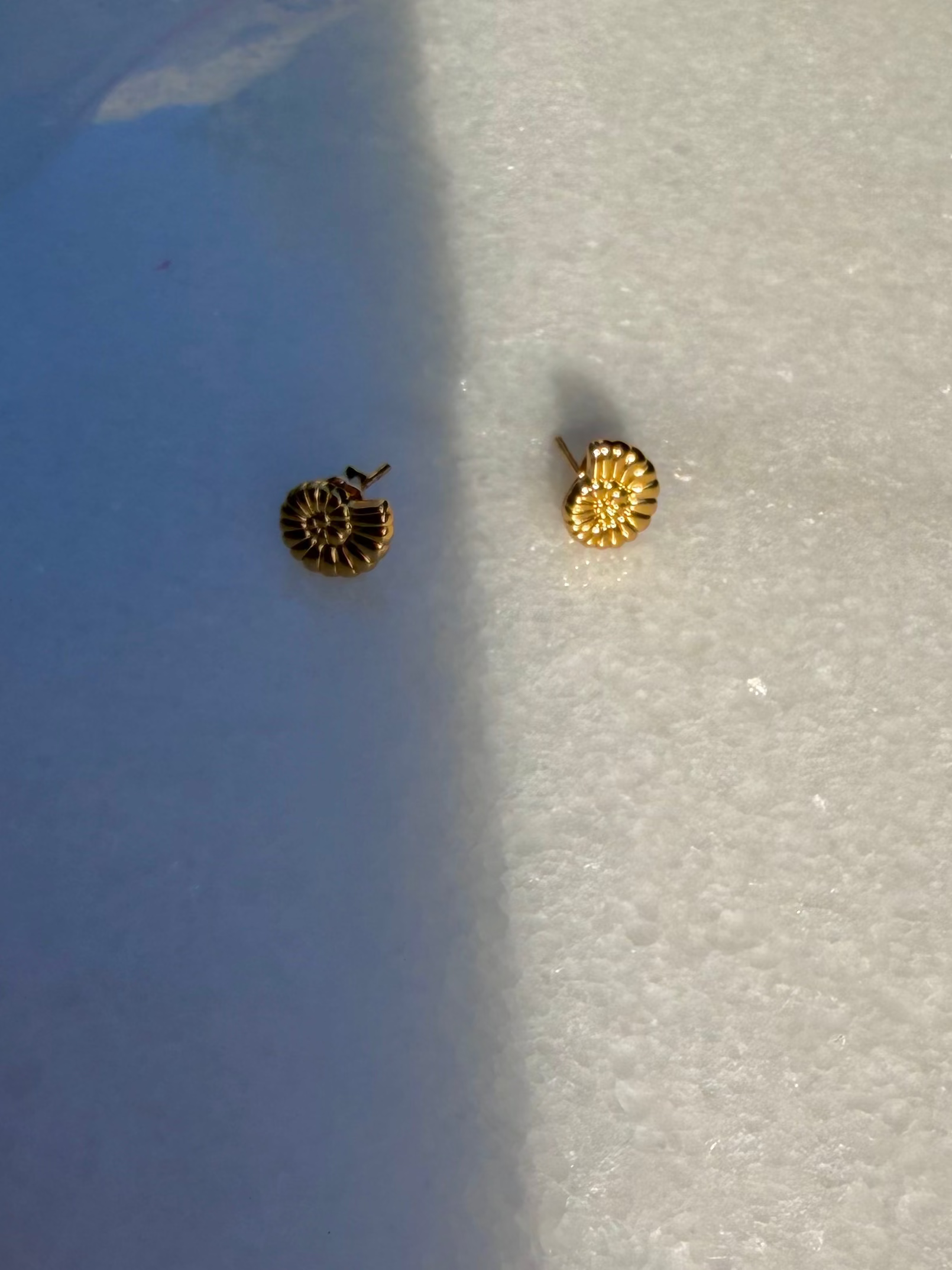 snail