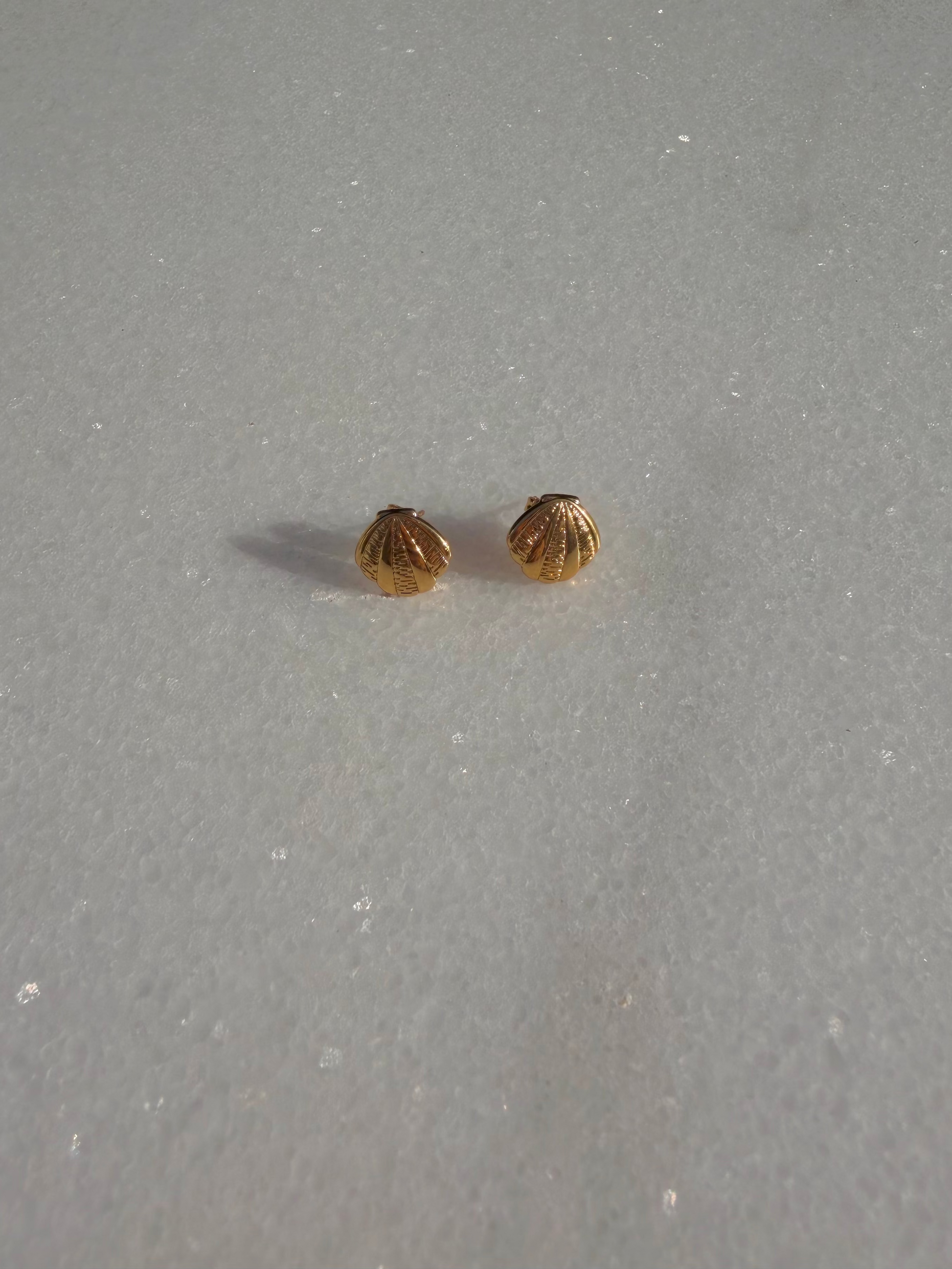 shell