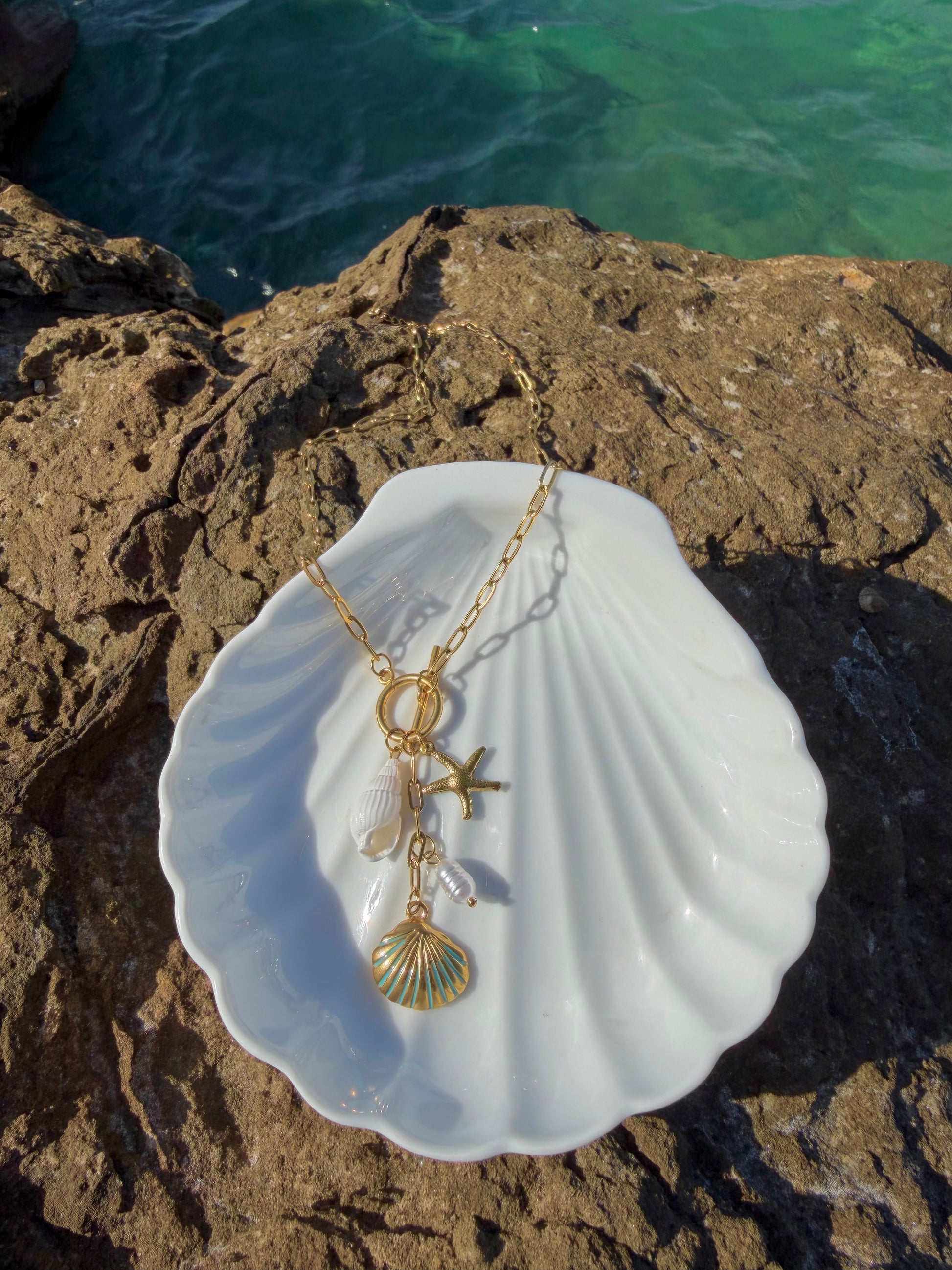 shell