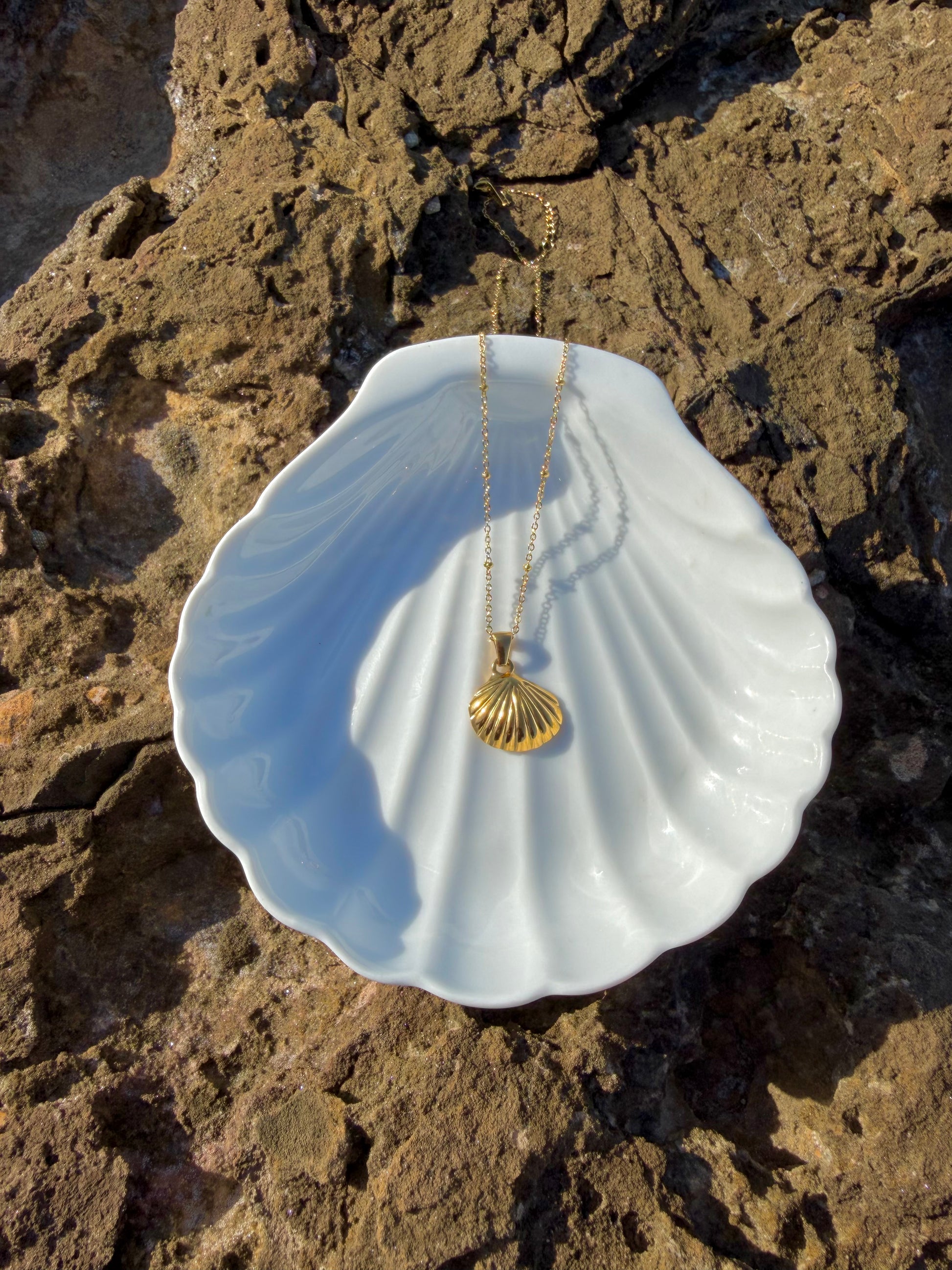 golden shell