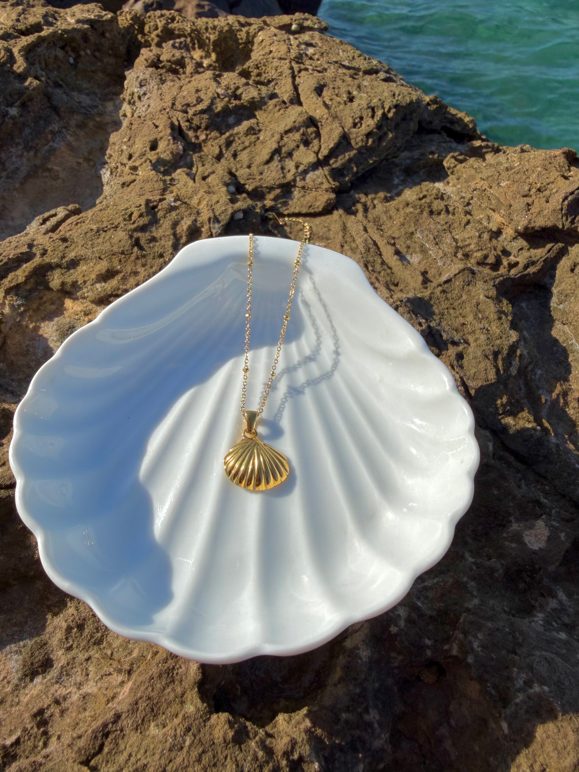 golden shell