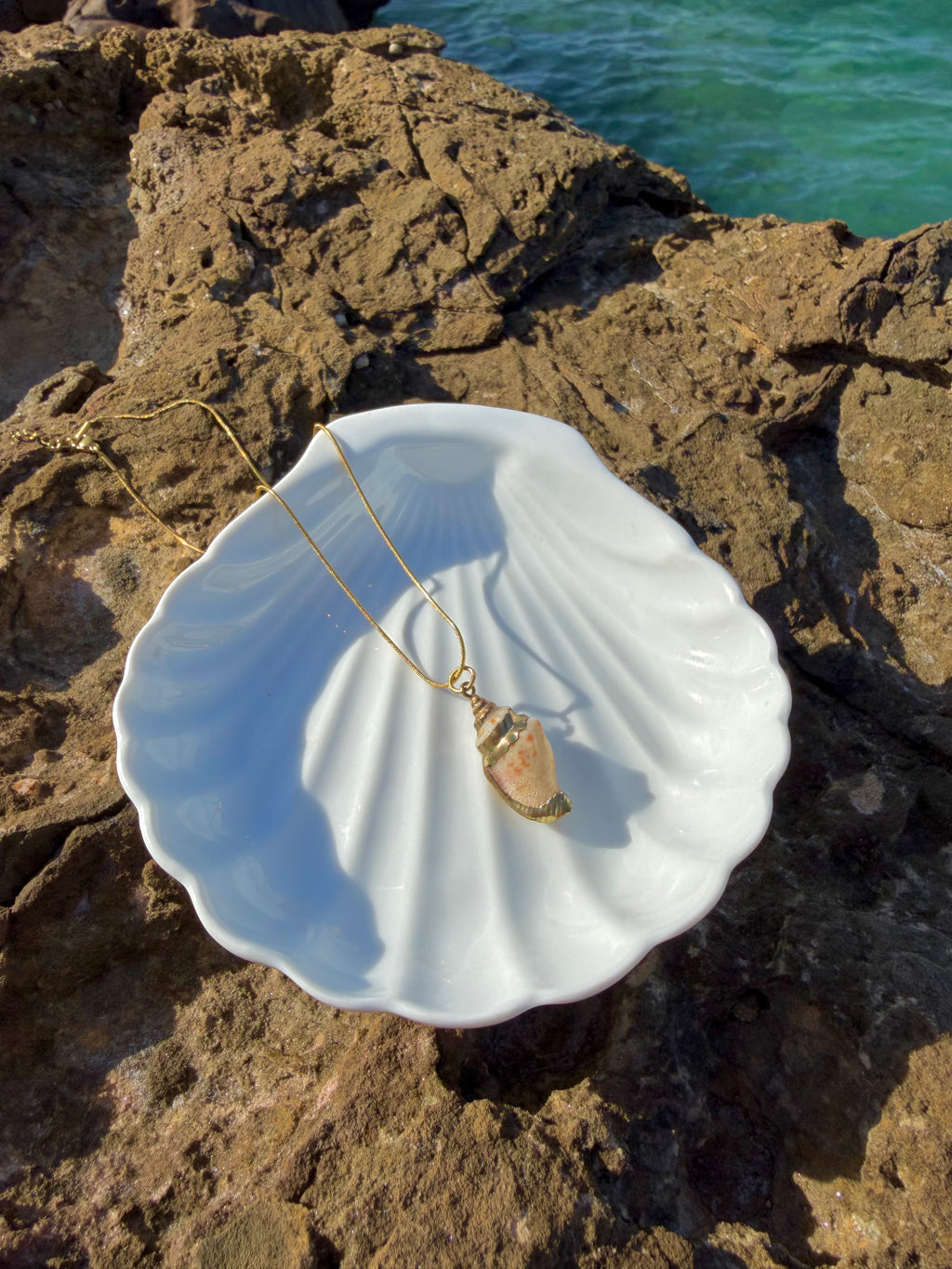 white shell
