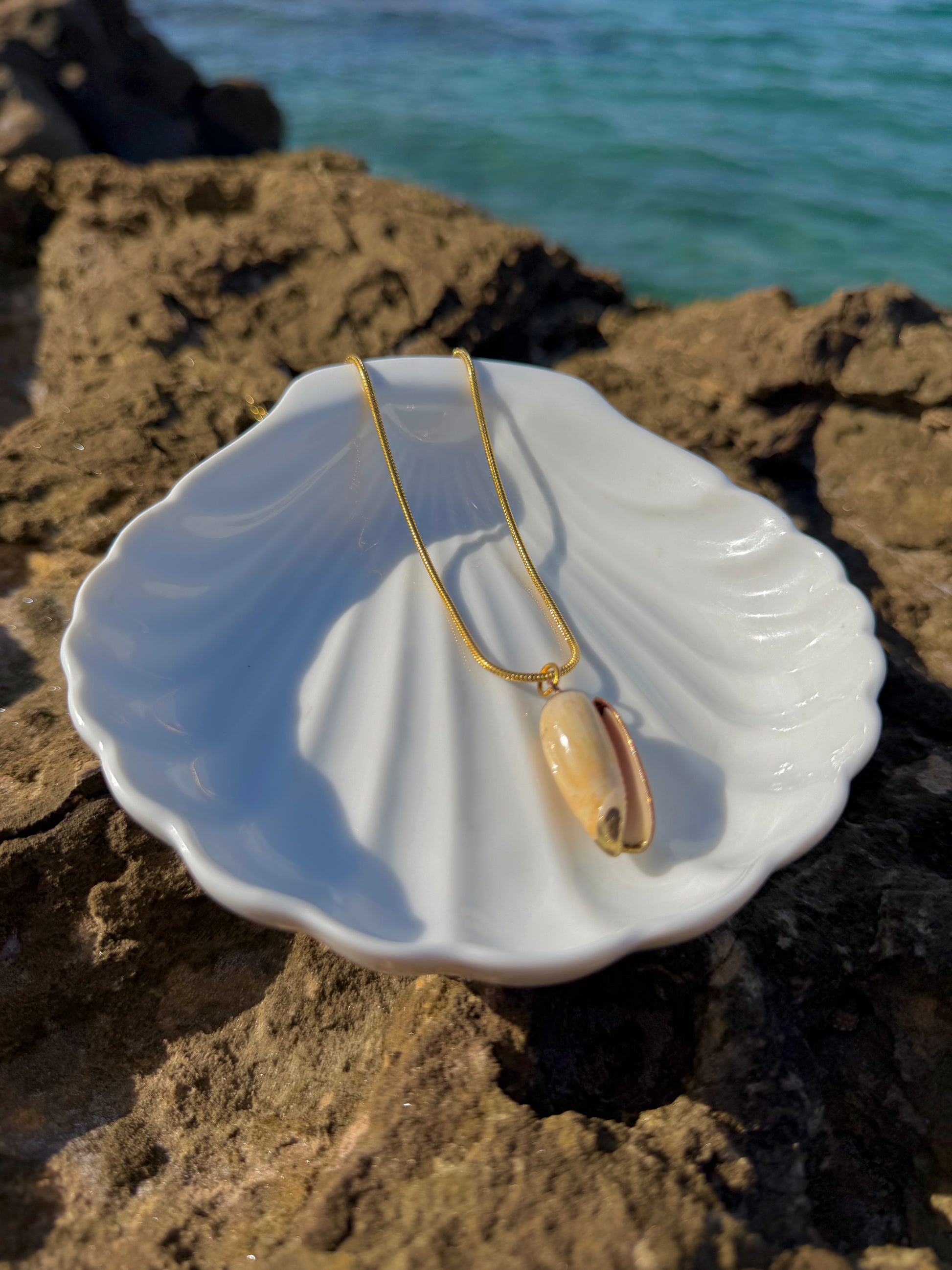 shell